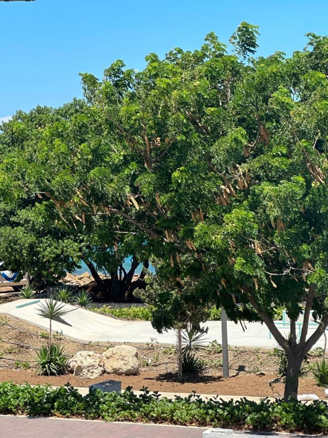 Whitehouse Boulevard, Close To Mambo Beach And City Centre Lägenhet Willemstad Exteriör bild